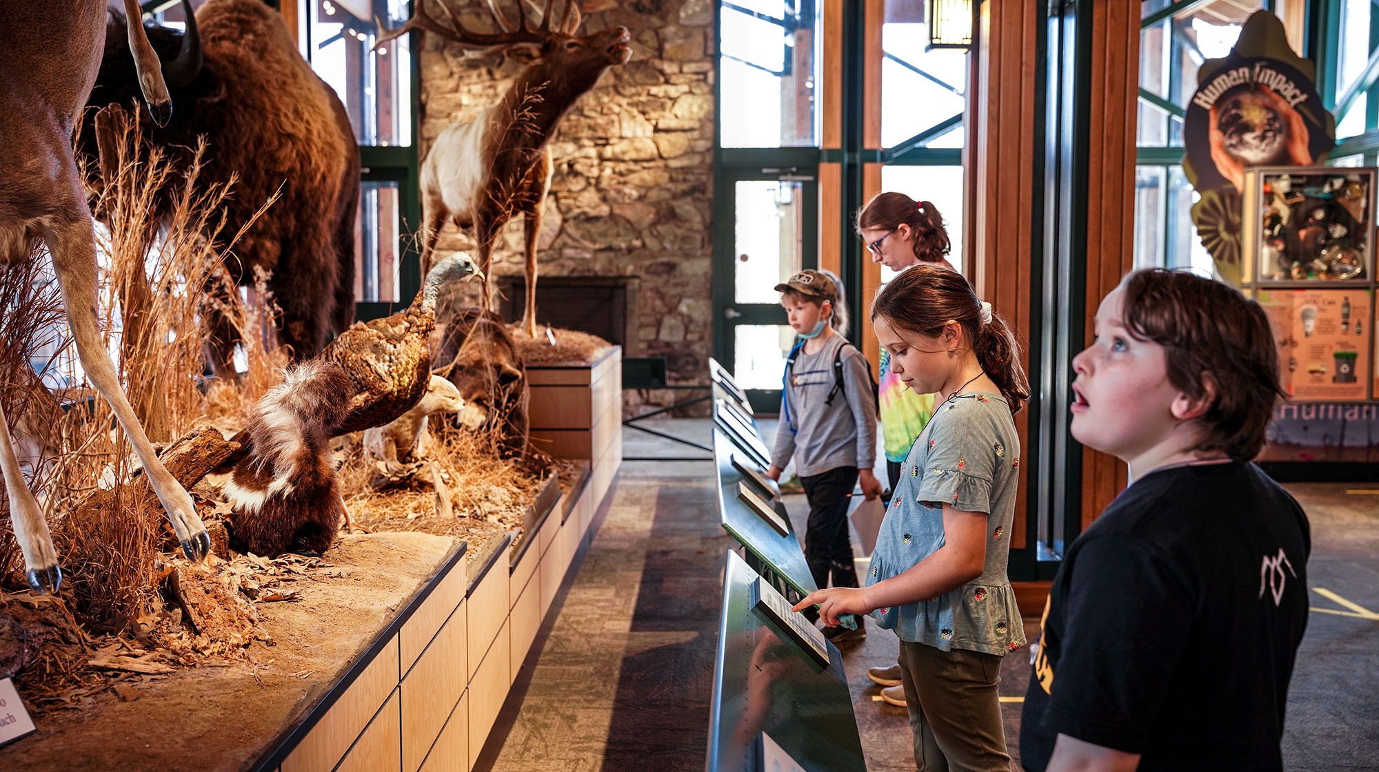 Kids looking at the animal displays inside Lichterman Nature Center.