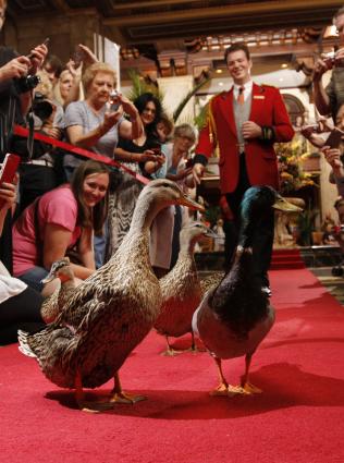 The Peabody Hotel Memphis
