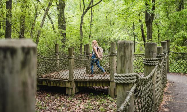 Someone hiking the boardwalk on the Turtle Bayou trails along Wolf River Greenway.
