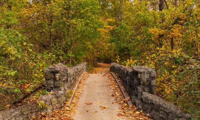 bridge lined with fall leaves going through Overton Park