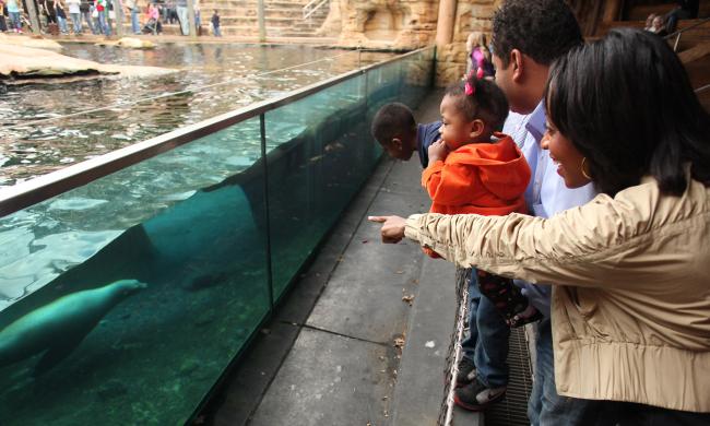 Sea animals at Memphis Zoo