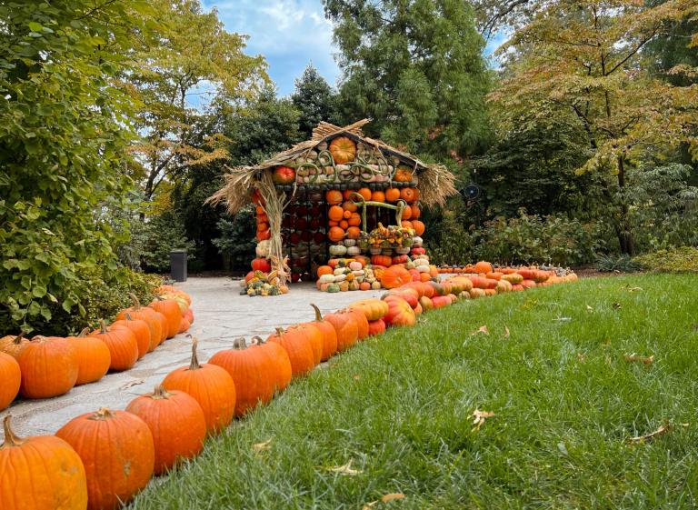 Dixon Gardens and Gallery Pumpkin House. A fun fall and halloween site to see.  Photo