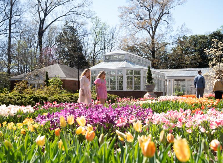 Garden with Tulips Photo 2