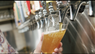 Beers on tap at Hammer &amp; Ale, Memphis, TN